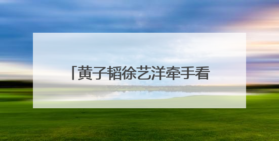 黄子韬徐艺洋牵手看鹿晗演唱会，“老相识” 同框太好嗑！