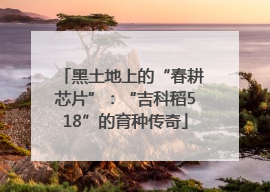 黑土地上的“春耕芯片”：“吉科稻518”的育种传奇