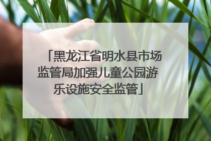黑龙江省明水县市场监管局加强儿童公园游乐设施安全监管