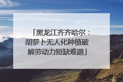 黑龙江齐齐哈尔：胡萝卜无人化种植破解劳动力短缺难题