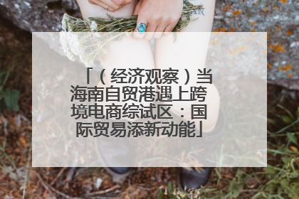 （经济观察）当海南自贸港遇上跨境电商综试区：国际贸易添新动能