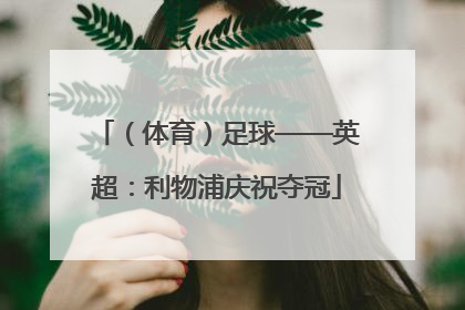 （体育）足球——英超：利物浦庆祝夺冠