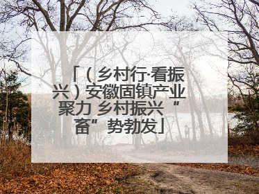 （乡村行·看振兴）安徽固镇产业聚力 乡村振兴“畜”势勃发
