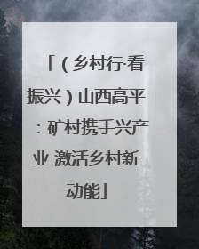 （乡村行·看振兴）山西高平：矿村携手兴产业 激活乡村新动能