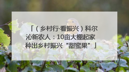 （乡村行·看振兴）科尔沁新农人：10亩大棚起家种出乡村振兴“甜蜜果”