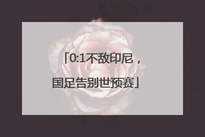 0:1不敌印尼，国足告别世预赛