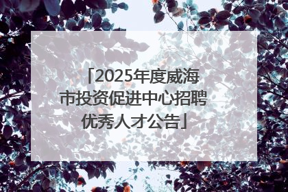 2025年度威海市投资促进中心招聘优秀人才公告