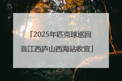 2025年匹克球巡回赛江西庐山西海站收官
