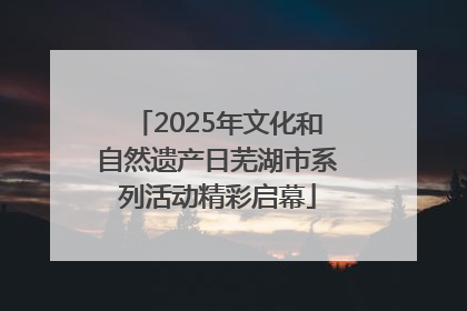 2025年文化和自然遗产日芜湖市系列活动精彩启幕