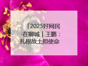 2025好网民·在聊城｜王鹏：扎根故土担使命 妙笔著文扬正气