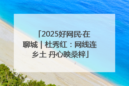 2025好网民·在聊城｜杜秀红：网线连乡土 丹心映桑梓