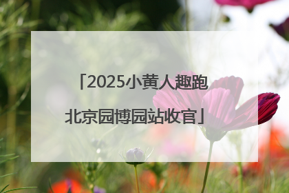 2025小黄人趣跑北京园博园站收官