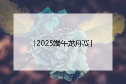 2025端午龙舟赛