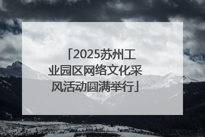 2025苏州工业园区网络文化采风活动圆满举行
