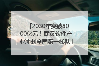 2030年突破8000亿元！武汉软件产业冲刺全国第一梯队