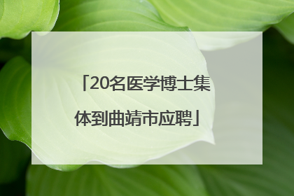 20名医学博士集体到曲靖市应聘