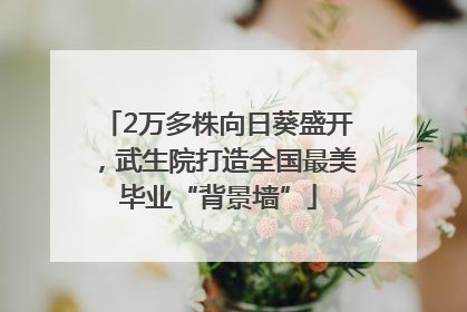 2万多株向日葵盛开，武生院打造全国最美毕业“背景墙”