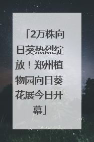 2万株向日葵热烈绽放！郑州植物园向日葵花展今日开幕