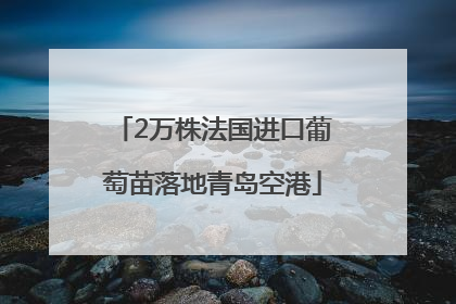 2万株法国进口葡萄苗落地青岛空港