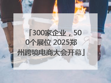300家企业，500个展位 2025郑州跨境电商大会开幕