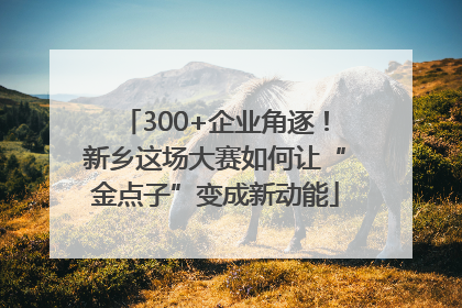 300+企业角逐！新乡这场大赛如何让“金点子”变成新动能
