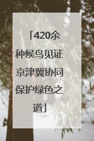 420余种候鸟见证京津冀协同保护绿色之道