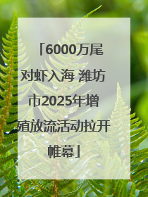 6000万尾对虾入海 潍坊市2025年增殖放流活动拉开帷幕