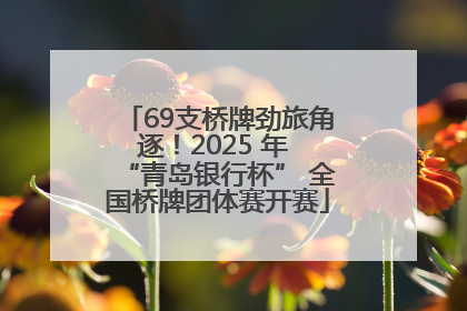 69支桥牌劲旅角逐！2025 年 “青岛银行杯” 全国桥牌团体赛开赛