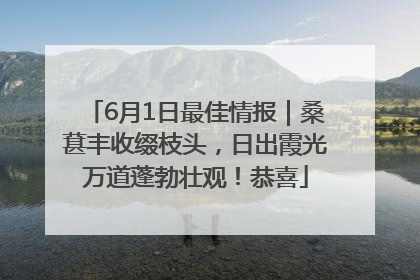 6月1日最佳情报｜桑葚丰收缀枝头，日出霞光万道蓬勃壮观！恭喜