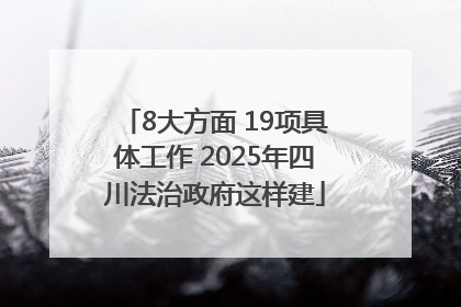 8大方面 19项具体工作 2025年四川法治政府这样建