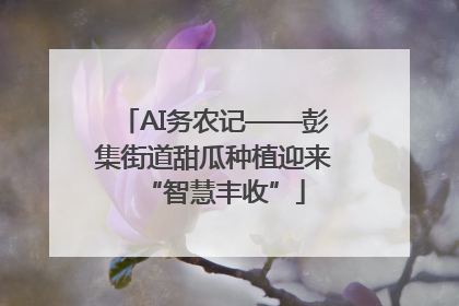 AI务农记——彭集街道甜瓜种植迎来“智慧丰收”