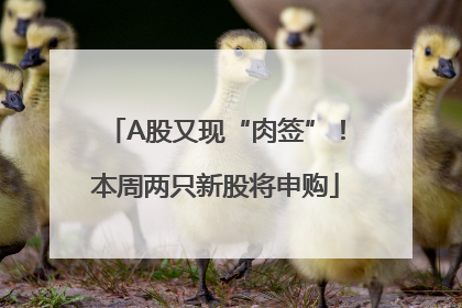 A股又现“肉签”！本周两只新股将申购