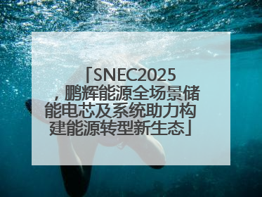 SNEC2025，鹏辉能源全场景储能电芯及系统助力构建能源转型新生态