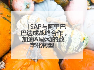 SAP与阿里巴巴达成战略合作，加速AI驱动的数字化转型